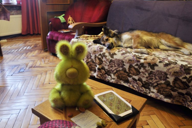 История одного ушастого товарища по имени Фанни (фото 5)