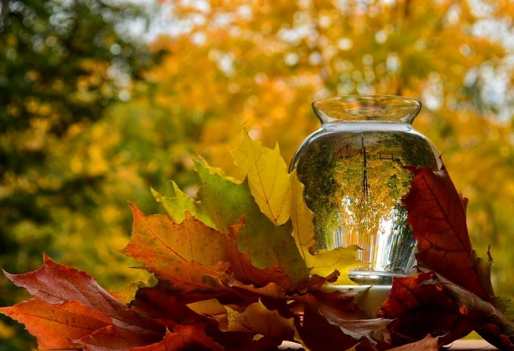 Красотка-осень — Болталка и разговоры обо всем: жизнь