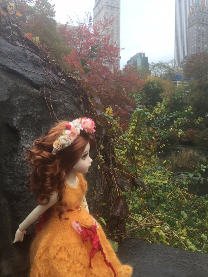 Луна гуляет в Центральном Парке в Манхаттане