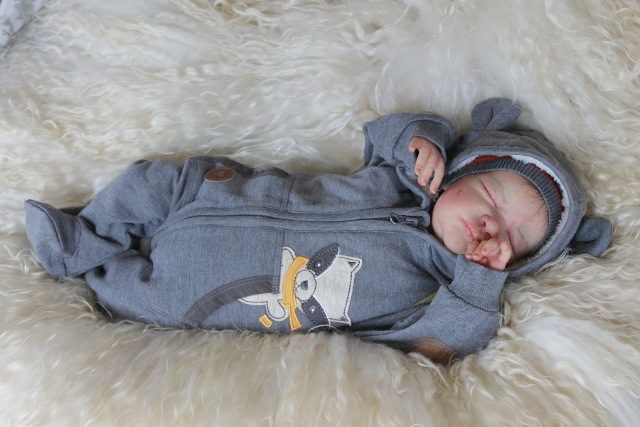 Сиренити от Екатерины Бойковой. Serenity Laura Lee Eagles (фото 8)