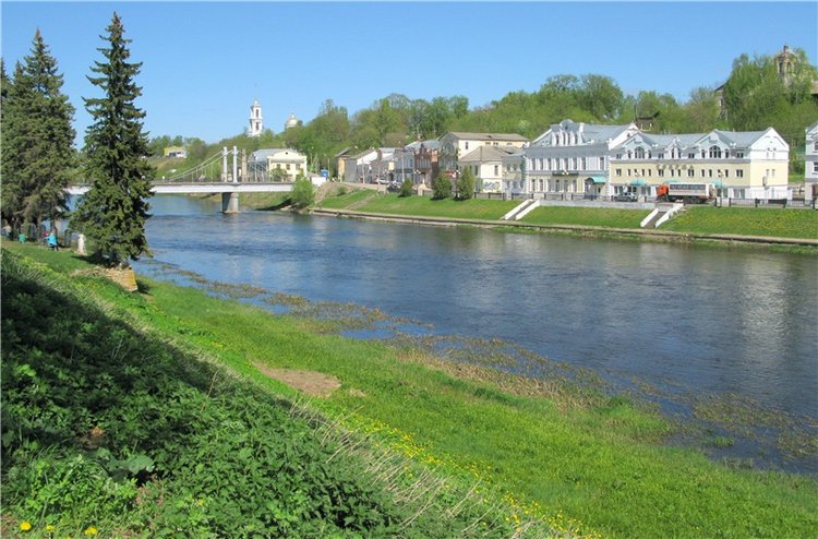 Одуванчиковая нежность, прогулка по Торжку (фото 2)