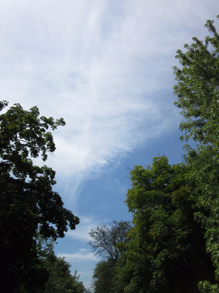 По дороге летним днём Магдалена шла с чепцом