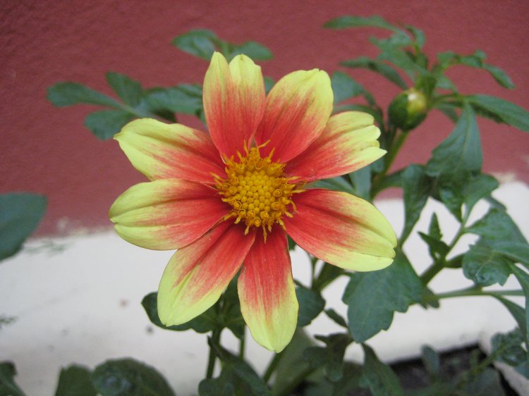 Вот такая вот Болгария — Туризм и путешествия: фотоотчеты из поездок