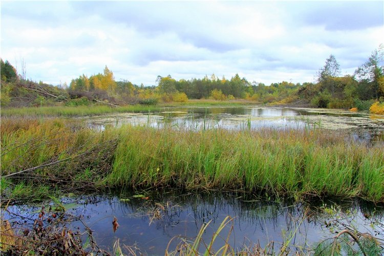 Тверской Водопад — Туризм и путешествия: фотоотчеты из поездок