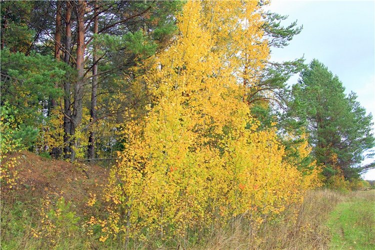 Тверской Водопад — Туризм и путешествия: фотоотчеты из поездок
