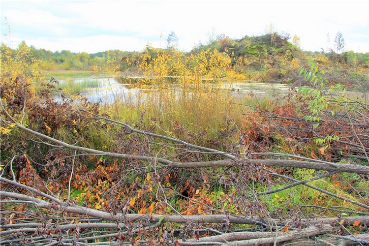Тверской Водопад — Туризм и путешествия: фотоотчеты из поездок