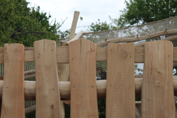 По Германии: зоопарк Лейпцига, часть 1