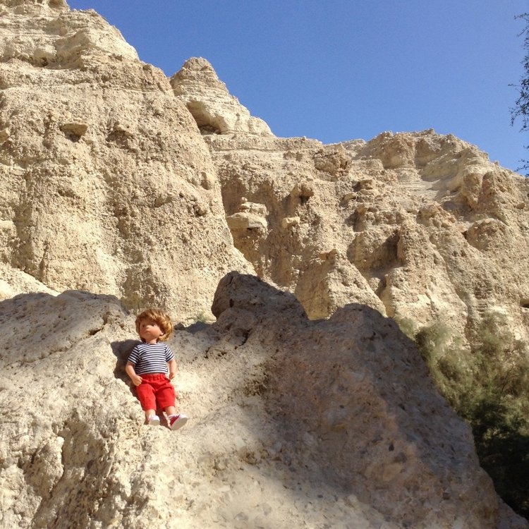 Белое солнце пустыни . Ч.7. Заповедник Эйн-Геди. Растения, животные, водопады