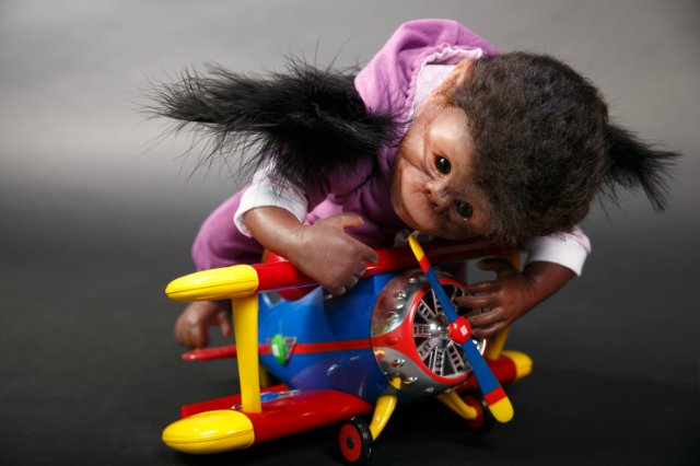 Часть 3. Обезьянка из страны Оз (фото 3)