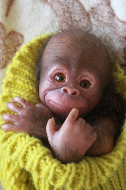 Обезьянка Bindi кукла реборн Элины Кудрявцевой (фото 5)