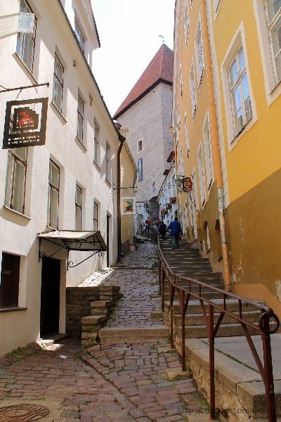 Средневековый Таллинн-город живой истории