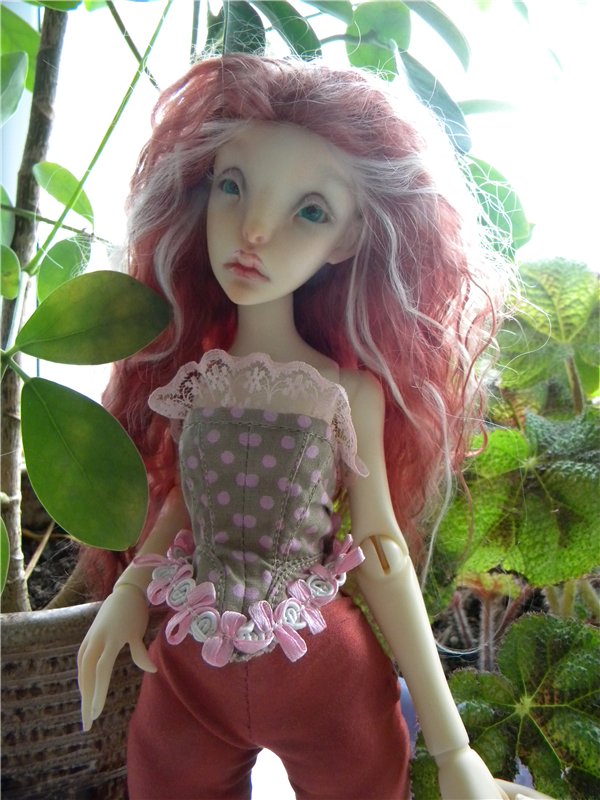 Теперь они вместе. Мои Лилликэтки Constantine и Ninon (фото 2)