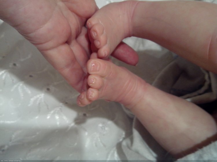 Молд Кейт, от Марисы Мей. Лапонька Катюша (фото 10)