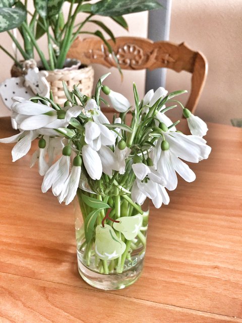 А у нас подснежники!!! (Irrealdoll Ino) (фото 7)