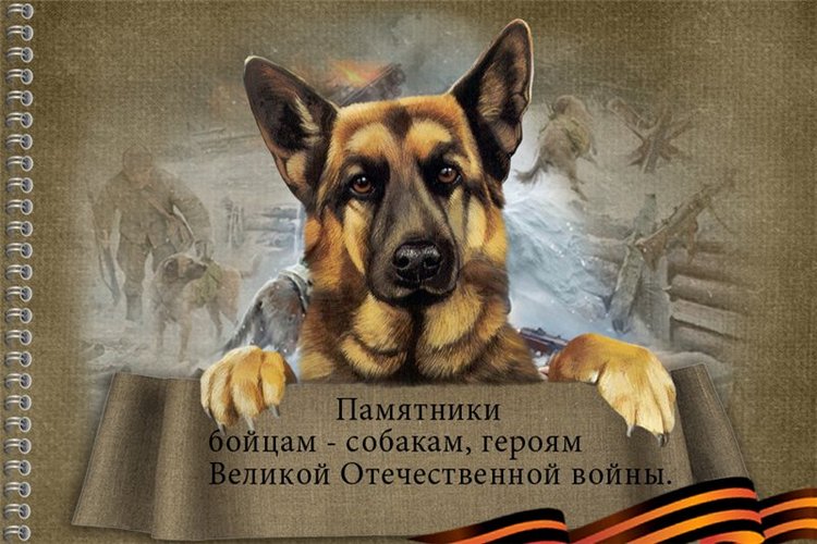 Памятники собакам в разных странах
