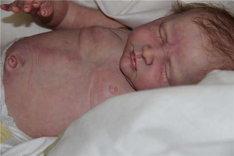 Моя малышка-реборн из молда Reese, от замечательного скульптора Andrea Arcello (фото 3)