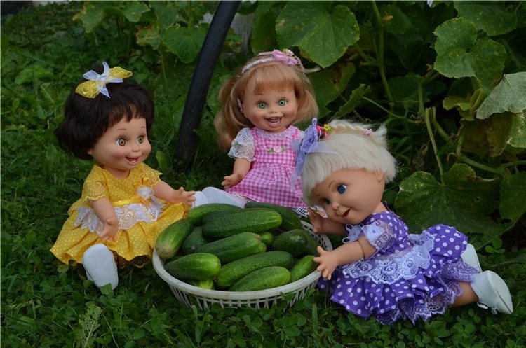 Лето прошло, а фоточки остались