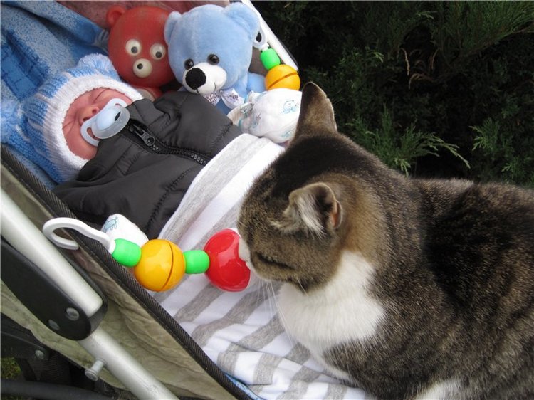 Колыбельная для малыша.Кукла реборн Тимурчик Ольги Астаповской