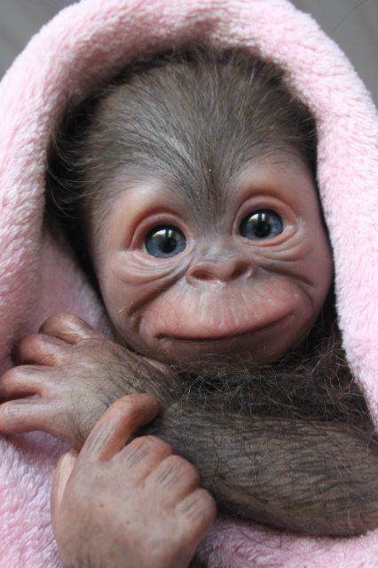 Обезьяныши реборн Элины Кудрявцевой (фото 2)