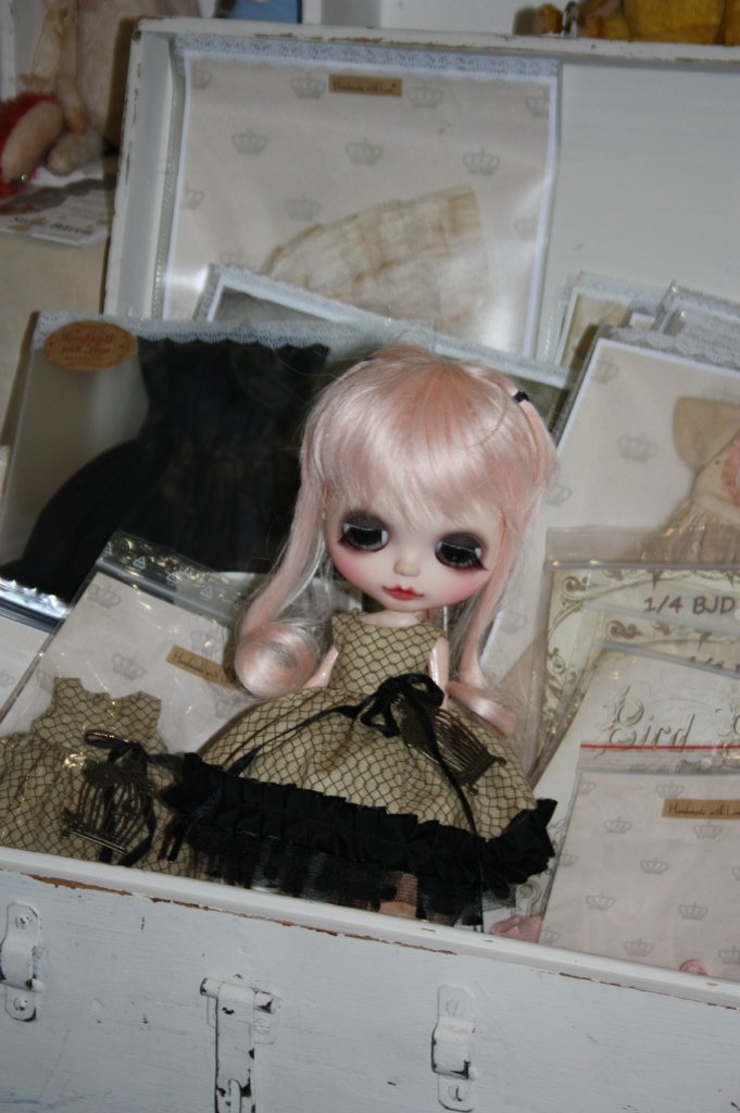 Выставка кукол, мишек тедди, кукольных домиков и миниатюры в Нидерландах. Заключение