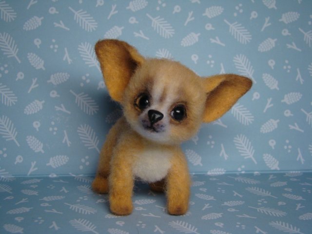 Чихуахуа. Авторская игрушка валянием Ольги Чернухо (фото 4)