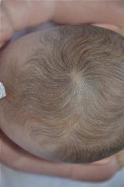 Кукла реборн Кристалл... Машенька