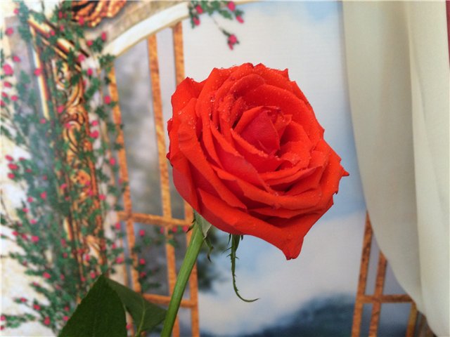 Аленький цветочек, сказка