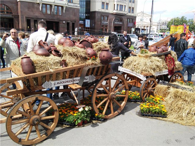 Незапланированная прогулка (фото 2)