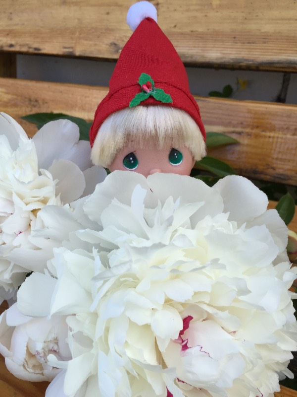 Наш ягодный Гномик от Precious Moments