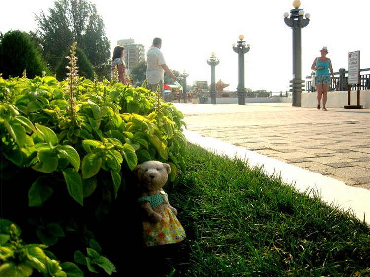 Лето. Солнце. Море. Где побывали! Что повидали! Часть 3 (фото 7)