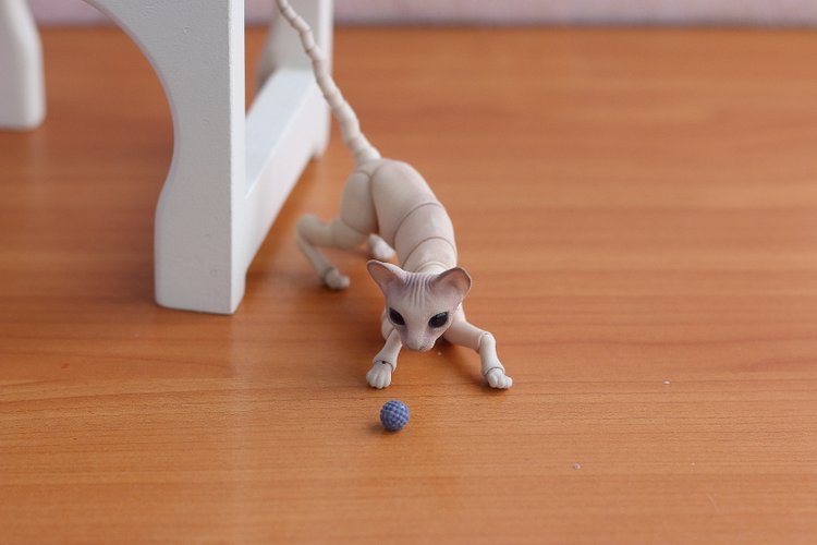 Кот играет с мячиком — Разные куклы BJD (БЖД): редкие бренды
