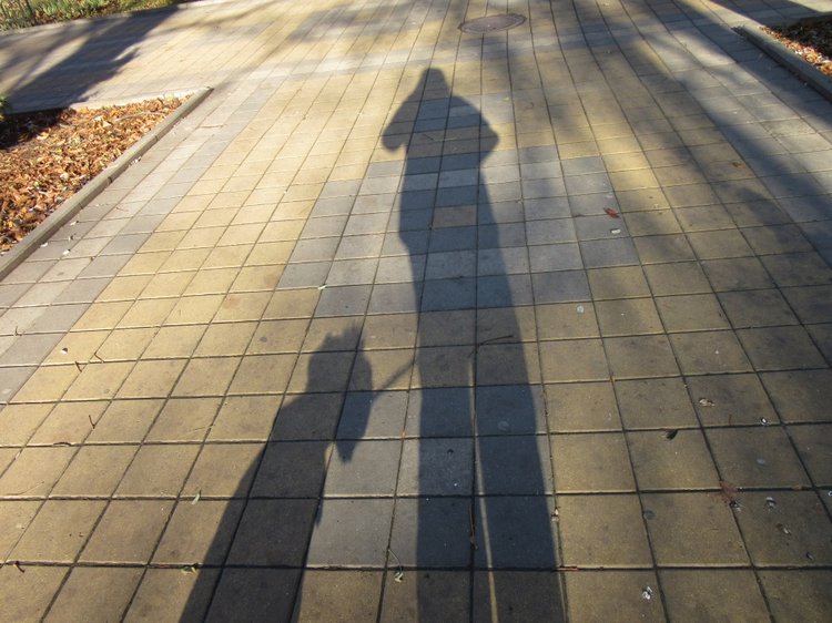 Утренняя прогулка в парке Горького с Соломоном и Анхен, или О сложностях гуляния с собакой и куклой одновременно