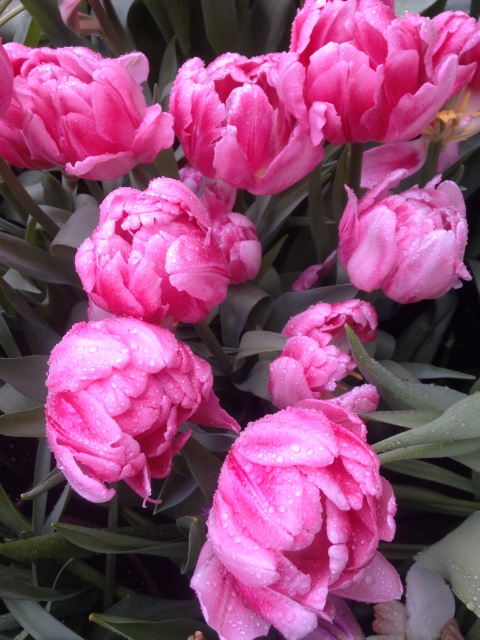 Фотосессия куклы ГДР Косолапки в Аптекарском огороде (фото 3)