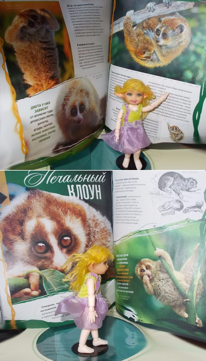 Весеннее — Куклы Ddung (Дданг): Корейские пупсы (фото 6)