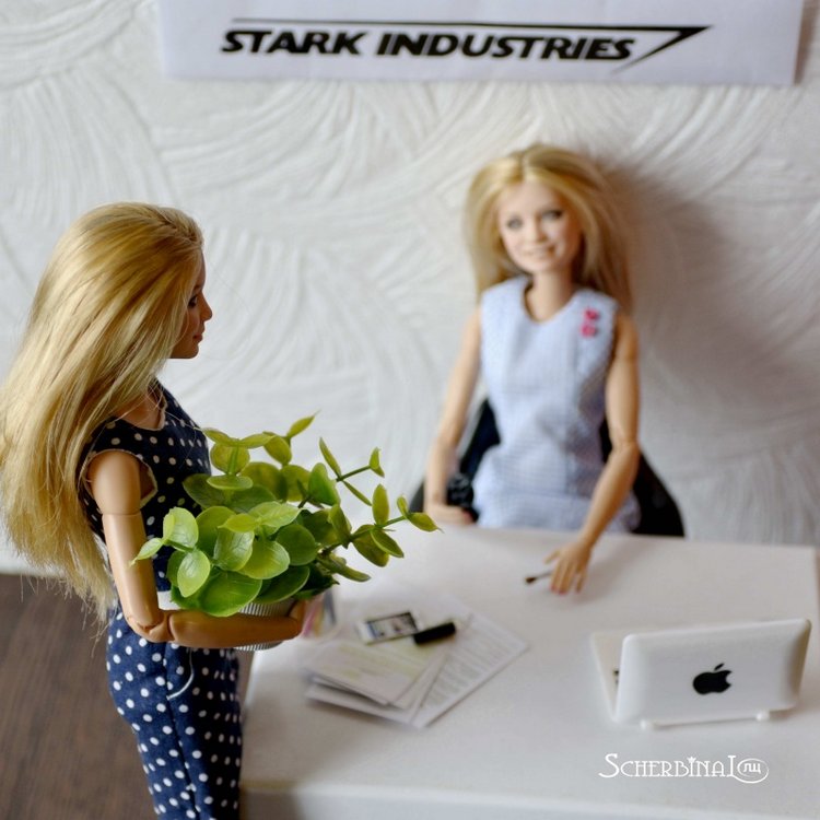 Санта-Барби. Дизайнера вызывали (фото 2)