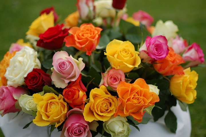 Санта-Барби. Всё идёт по плану