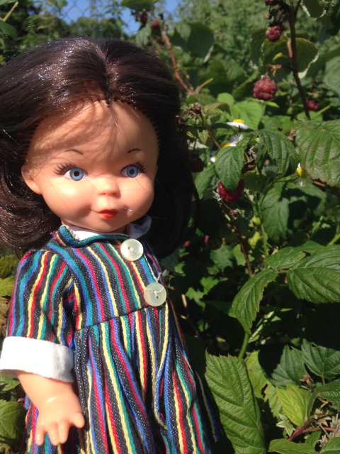 Такие простые летние радости с Eva Harta от Goebel