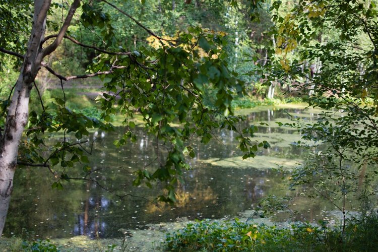 Маленькая Джун — Антикварные куклы Revalo (Ревало): Gebrüder Ohlhaver (фото 8)