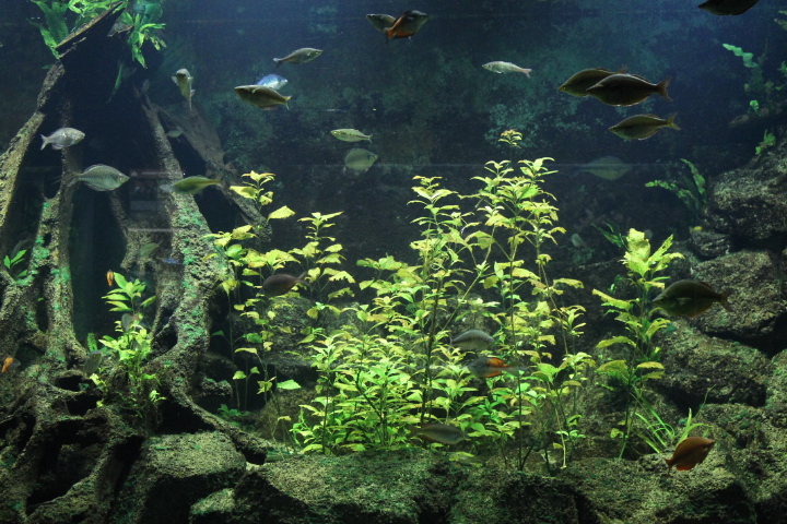 По Германии: зоопарк Лейпцига, часть 1