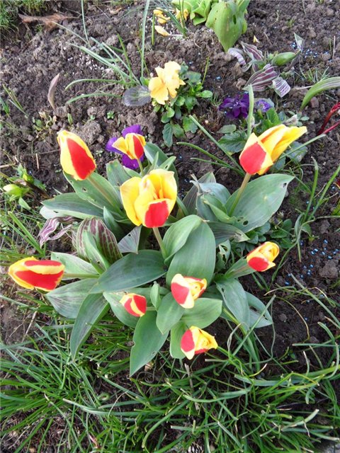 Люблю тебя, английская деревня (фото 8)