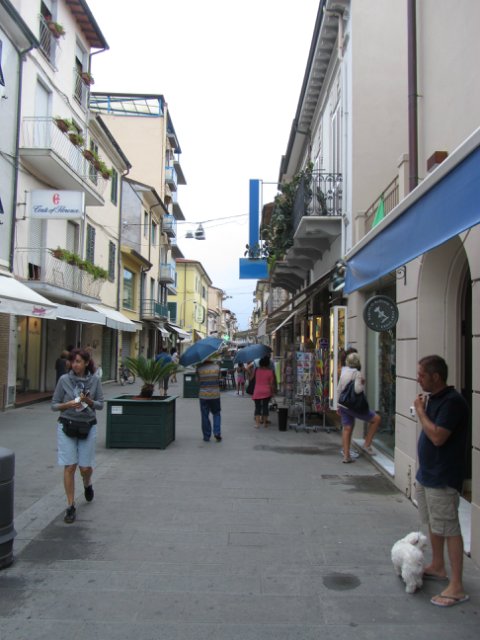 "Моя Италия". Часть 3 - Виареджо, Лукка, Пиза