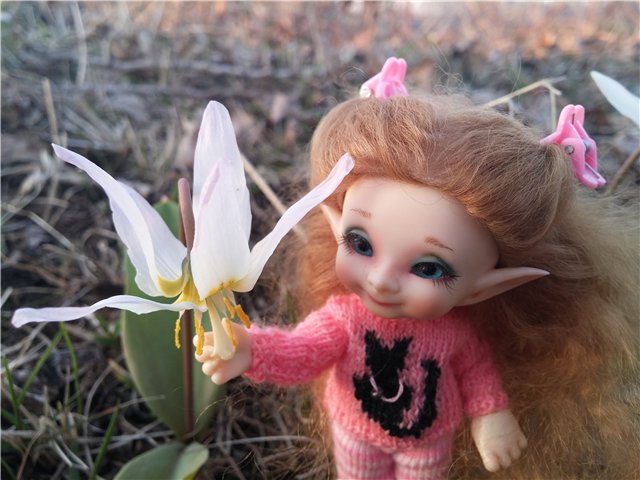 Поездка за подснежниками. Или просто Корппи | Бэйбики Поездка за подснежниками. Или просто Корппи (фото 4)