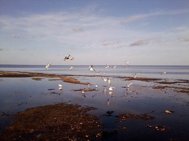 Назад в прошлое | Бэйбики Назад в прошлое — Болталка и разговоры обо всем: жизнь