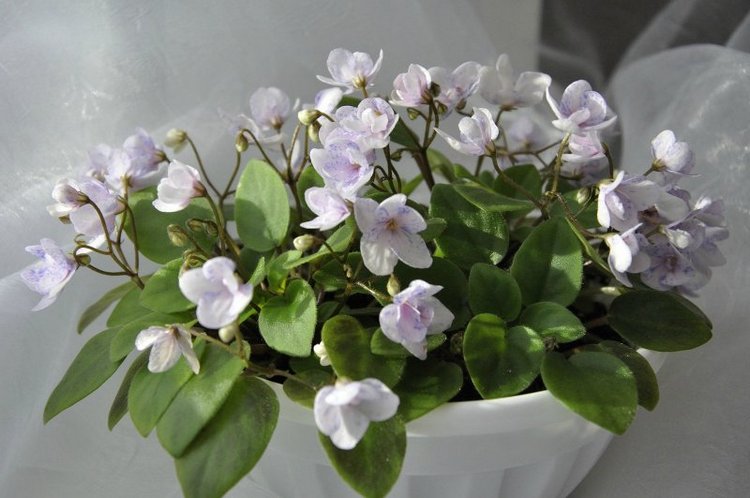 Еще немного о сумасшествии (фото 4)