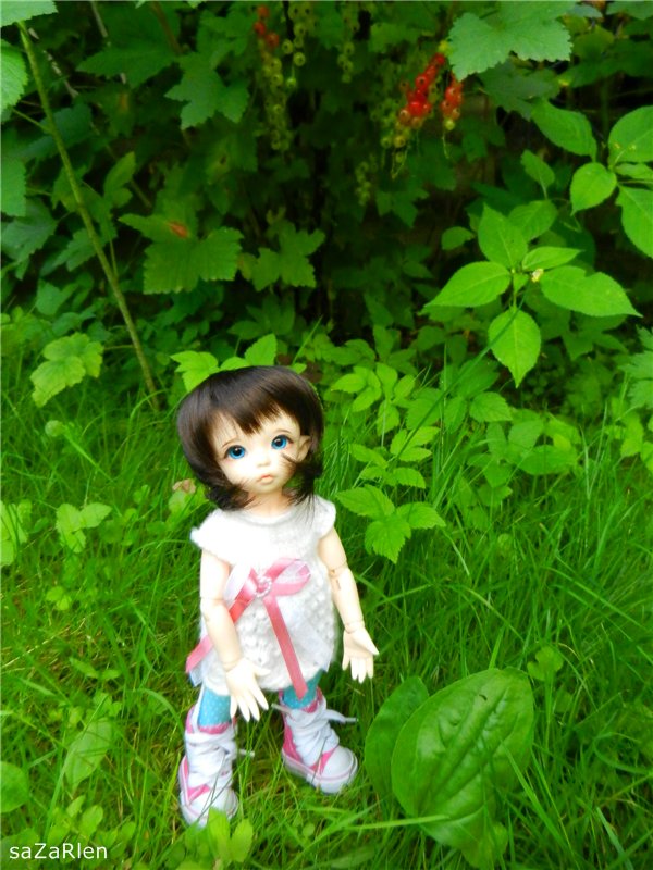 Варвара путешевственница (Литтлфи Анте) (фото 5)