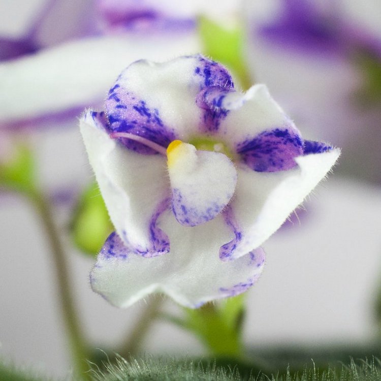 Еще немного о сумасшествии