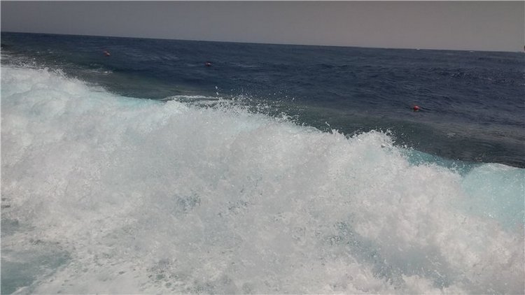 Дрюшка-путешественник 2 или летние каникулы. Египет