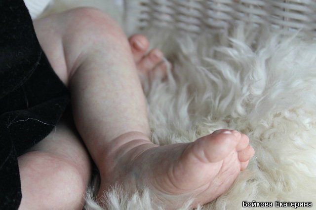 Кукла реборн Frida от Karola Wegerich в моём исполнении