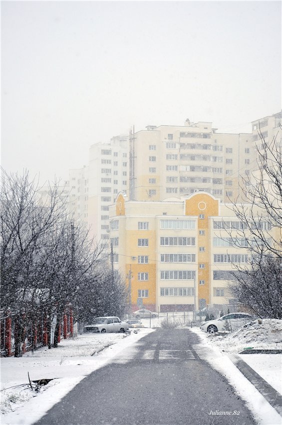 Коты прилетели... первые вестники весны