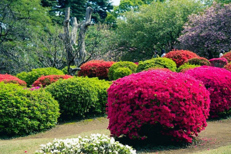 Япония моими глазами (часть 3. Китакюсю и Токио.)